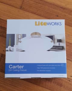 Liteworks Carter Ceiling Light Fixtures