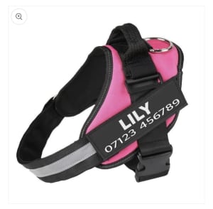 Dog No Pull Harness - Pink for Medium Sized Dog
