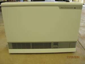 Rinnai Energy Saver 1004FT Natural Gas Heater - Console Model