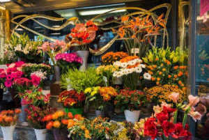 Florist Business for sale