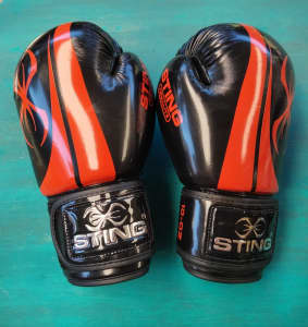 Sting Armalite 10oz Boxing Gloves New