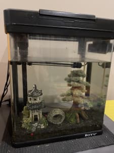 Fish tank with decoration and accessories