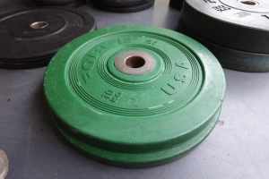 Olympic Pro Grade Bumper Plates - FORCE USA 2x10KG