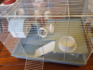 Mouse cage. New