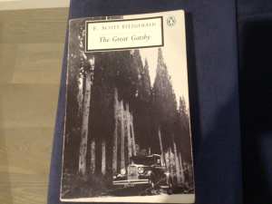 THE GREAT GATSBY by F SCOTT FITZGERALD
