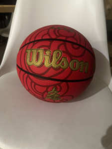 Basketball For Sale In Melbourne (Price Negotiable) Feel free to text