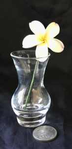 Small glass vase.