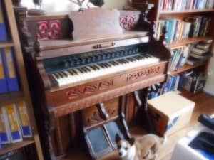 Antique (Bellows) Harmonium (Organ)