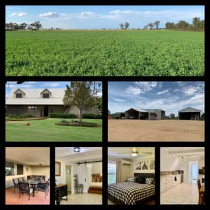 FOR SALE by expressions of interest: Irrigated Lucerne Farm, Narromine