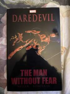 Daredevil: The Man Without Fear Graphic Novel