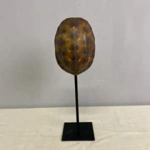 Faux Turtle Shell Decor on Stand