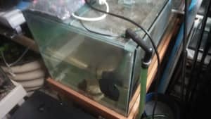Turtle tank on stand new canister filter, double air pump. Gawler 5116