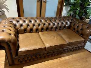 Chesterfield Cigar brown 