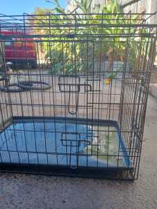 Large animal cage plus animal trap/cage