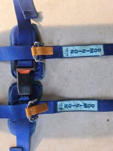 Dominion 4 Point Harness