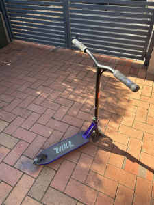 Scooter (adult)