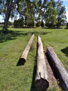 Timber posts