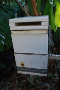 Australian Native bee hive in box.