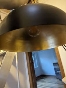 Bowl shaped pendant light