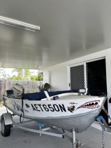 Tinnie with Johnson outboard / boat 