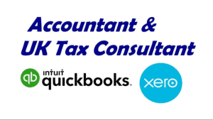 BOOKKEEPING EXPERT ACCOUNTING EXPERT REPORTS TAXES EXCEL SHEETS