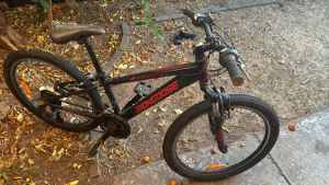 Pushbike for sale