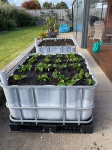 IBC Wicking Bed Garden Bed