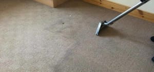 Professional Carpet Cleaning West End