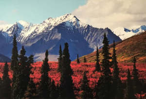 Photo of Alaska on canvas