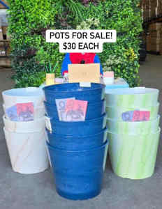 Clearance Sale on Pots