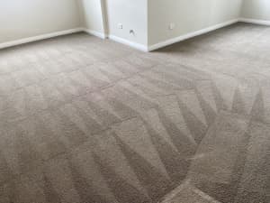 Carpet Steam Cleaning/ Mould Cleaning/ End Of Lease Cleaning Service