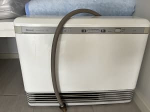 Rinnai gas heater