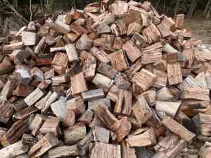 Firewood redgum