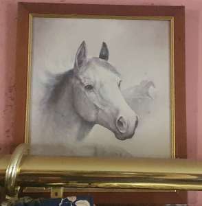 paintings - horses - various sizes & prices - 23x28cm up to 68x52cm -
