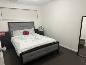 Room for rent in The Ponds/Quakers hill/ near Schofields 
