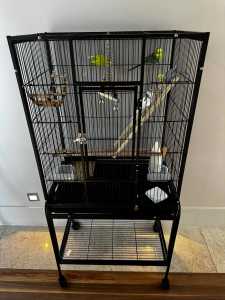 Large Bird Cage with 4 budgies