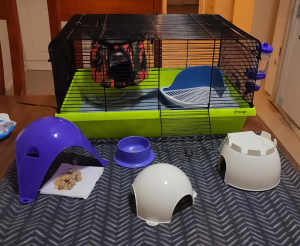 PET MOUSE/MICE CAGE FOR SALE WITH ACCESSORIES