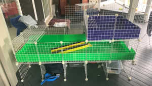 Deluxe Guinea Pig Cage