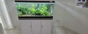 Fish tank stand and accessories CASH ONLY no couriers