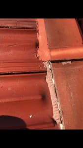 Roof restoration from 1400$