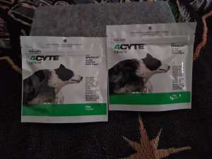 Interpath (Joint Health) 4CYTE Canine 