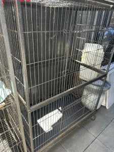 Cat cage for sell