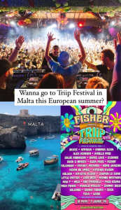 Triip Festival Tickets and accommodation