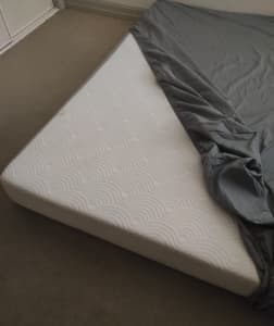 Queen bed mattress CBD $20