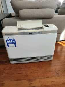 Rinnai gas heater portable 