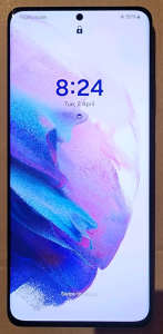 Samsung Galaxy S21 Ultra 5G 12gb 256gb