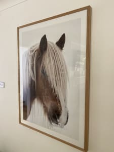Horse print in glass
