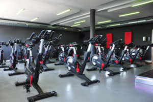Casual Labourer for Fitness Equipment Installation ** No Experience **
