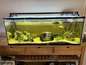 182L fish tank