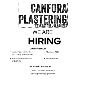 Labourer with Opportunity to Learn Plastering